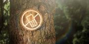 ¿Cómo hacer un detox digital? Claves para un respiro tecnológico