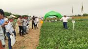 Exposoya del Norte impulsa la innovación para fortalecer la agricultura sostenible