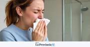 Cinco remedios naturales que pueden ayudar a aliviar la rinitis alérgica