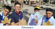 “Ecoleños”: el invento ecológico de alumnos y docentes que reemplaza la leña y el carbón