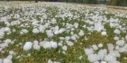 Alerta por viento fuertes, intensas tormentas y granizos en diez provincias este domingo, los detalles