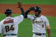 Inicio de la LVBP: Leones del Caracas anuncia los precios de sus entradas para la temporada 2025/2026