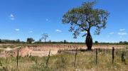 Alerta por temperaturas máximas de hasta 42 grados en 5 departamentos y vientos fuertes en 4 regiones