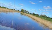 Prorrogaron la emergencia agropecuaria en 4 municipios de la provincia de Buenos Aires