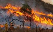Incendios: contuvieron tres focos, mientras sigue activo el fuego en el Parque Nacional Quebrada del Condorito