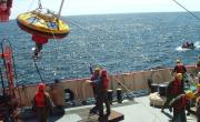 Los descubrimientos del CONICET en la expedición en los cañores submarinos de Chubut y Río Negro