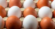 Ni frito ni revuelto: la forma correcta de cocinar el huevo para aprovechar todas sus proteínas
