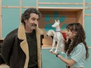 Por qué no hay que perderse Animal, la serie gallega que narra los dilemas de un veterinario desde la ternura, el humor y el sentido común