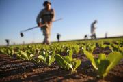 Minería, agricultura y turismo: Paz y Quiroga coinciden en las metas, pero discrepan en el modelo