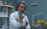 “Animal”: un veterinario rural en el mundo de los “perrhijos”
