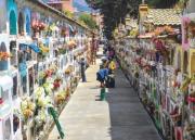 Desde el 15 de octubre activan los controles por Todos Santos
