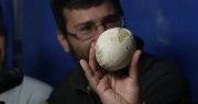 Paleontólogos de la UNLP son protagonistas de los increíbles hallazgos de fósiles de dinosaurios en Río Negro