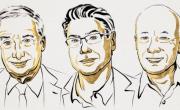 No fue Milei: quiénes son los ganadores del Nobel de Economía 2025