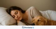 Qué significa soñar con perros: el mensaje oculto detrás de este sueño común según la IA