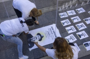 Venezolanos piden la libertad de presos por razones políticas