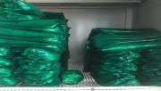 La coca machucante de la salud