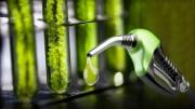 Axel Boerr: “Hace 16 meses que los precios no cumplen con el artículo 14 de la Ley de Biocombustibles”