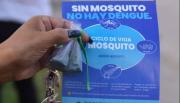 La escuela Indalecio Gómez, de Molinos, lleva adelante un proyecto contra el dengue