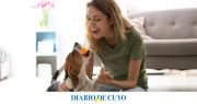 ¿Qué siente tu perro cuando le hablás con tono de bebé?