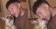 Vídeo: Un joven le canta a su perrita la popular canción ‘Perfect’ de Ed Sheeran y la reacción de la mascota es viral