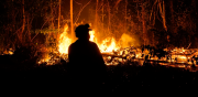 Fuego ataca un área productiva de asaí