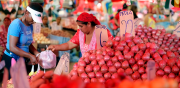 Alimentos de la canasta familiar se incrementa hasta un 300%