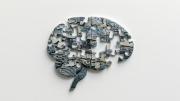 ¿El cerebro de los hombres envejece más rápido? Estudio sobre Alzheimer responde