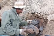 Hallazgo de restos fósiles de ictiosaurio marca hito en la paleontología venezolana