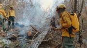Bolivia perdió 9% de bosques húmedos tropicales por los incendios forestales de 2024, según informe internacional