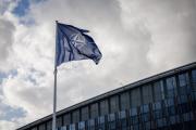Alemania advierte que Rusia no descarta una confrontación directa con la OTAN