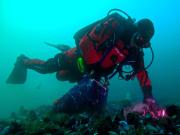 Los guardianes del mar que monitorean los moluscos bivalvos de Las Grutas