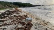 Narcotráfico en el Caribe: estas serían las tácticas para evadir operativo de EEUU, según NYT