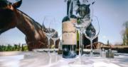 Gualtallary Wines: la bodega boutique premium que conquista el mundo