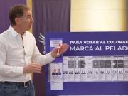 Para votar al colorado, marcás al pelado”: el spot de La Libertad Avanza para la provincia en el que evitan nombrar a Espert