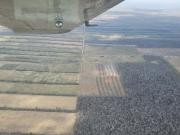 Intensifican patrullajes para contener incendio en Santa Cruz antes que ingrese a reserva forestal