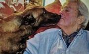 ¿Qué pasó con Loubo? Alain Delon había dejado clara su voluntad: si él moría antes que su perro, pidió que lo duerman para seguir juntos