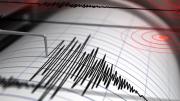 INPRES reportó un fuerte temblor en Mendoza con epicentro en Chile
