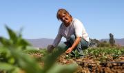 Día Internacional de las Mujeres Rurales: cómo se vive, se resiste y se lucha en épocas de motosierra