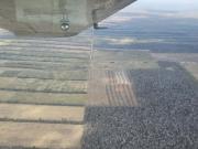 Intensifican patrullajes para contener incendio en San Ignacio de Velasco antes que ingrese a reserva forestal