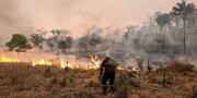 Defensa Civil exhorta a Santa Cruz a declararse en desastre por incendios