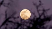 Dos superlunas seguidas iluminarán el cielo: cuándo y cómo verlas