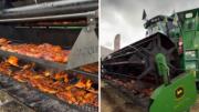 Transformaron una cosechadora en parrilla y el asado se volvió viral