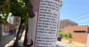 Ofrecen $1.000.000 de recompensa por perrita salchicha perdida en Santa Lucía