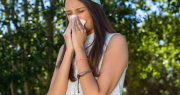 Tras la llegada de la primavera, cuáles son las pestes que más afectan la salud de los sanjuaninos