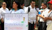 Día Nacional de las Personas con Discapacidad: piden respeto a sus derechos y espacios laborales