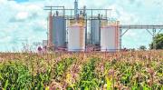 Pymes del biodiésel se oponen a cambiar la ley y dicen que una provincia tiene el monopolio