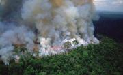 ¿Quién prende fuego a la Amazonía brasileña?