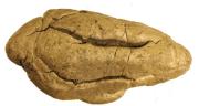 Científicos revelan costumbres sociales de hace 5.000 años gracias a un enigmático hallazgo