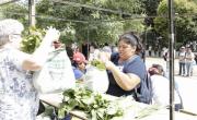 Alimentazo en la Ciudad y el Conurbano: productores reparten comida para protestar