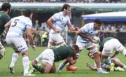 Los Pumas no disputarán el Rugby Championship en 2026: qué torneo aparecerá